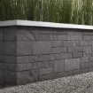 Picture of Brandon Wall