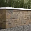Picture of Brandon Wall