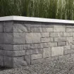 Picture of Brandon Wall