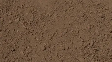 Picture of ScreenedTopsoil