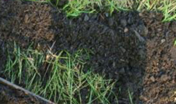 Show details for TOTE - TOPDRESSING Picture of TOTE - TOPDRESSING