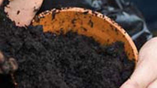 Picture of 25L BAG PEATLOAM