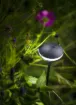 Picture of SWAY LOW BLACK