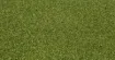 Picture of RYMAR PRO PUTT     **** FINAL SALE ON CUT ROLLS *****