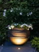 Picture of LUNA STAINLESS STEEL
