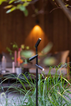 Picture of AIM EXTRA LOW TRIPLE